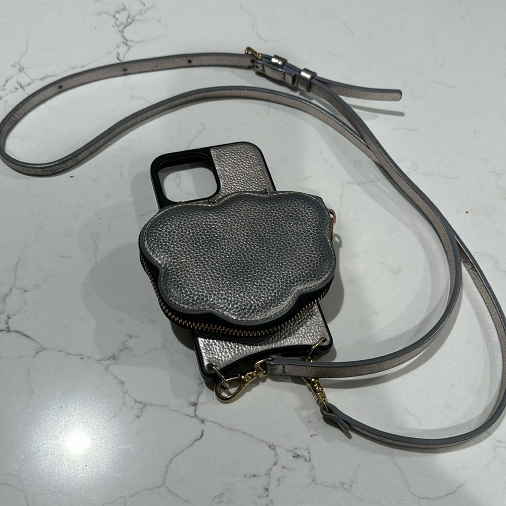 Bandelier Gray shimmer case